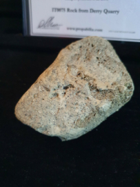 Stephen King IT Original Screen Used Throwing Rock Movie Prop