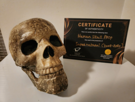 Supernatural (2005-2020) Original Screen Used Ritual Skull Movie Prop