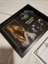 Mimic 2 Original Screen Used Piece of Alien Egg Movie Prop