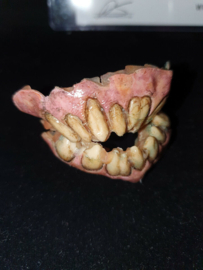 Van Helsing TV Show Original Screen Used Vampire Teeth MovieProp