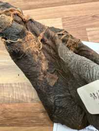 The Mummy Returns (2001) Original Production Used Mummy Costume Feet Movie Prop