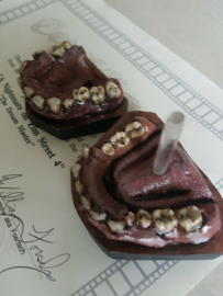 Nightmare on Elm Street 4 Lifesize Freddy Krueger Teeth Original Mold Movie Prop REPLICA