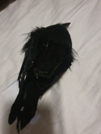 Sons of Anarchy Original Screen Used Gemma Dead Crow Movie Prop