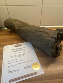 The Mummy Returns (2001) Original Production Used Mummy Leg Movie Prop