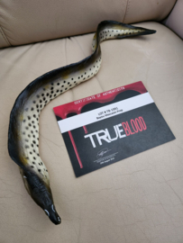 HBO True Blood Original Production Used Bayou Movie Prop