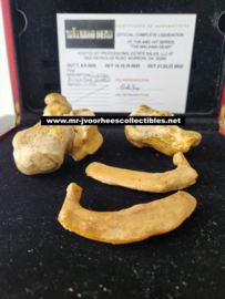 AMC The Walking Dead Original Production Used Human Bones Set Movie Prop