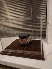 Nightmare on Elm Street 4 Lifesize Freddy Krueger Teeth Original Mold Movie Prop REPLICA