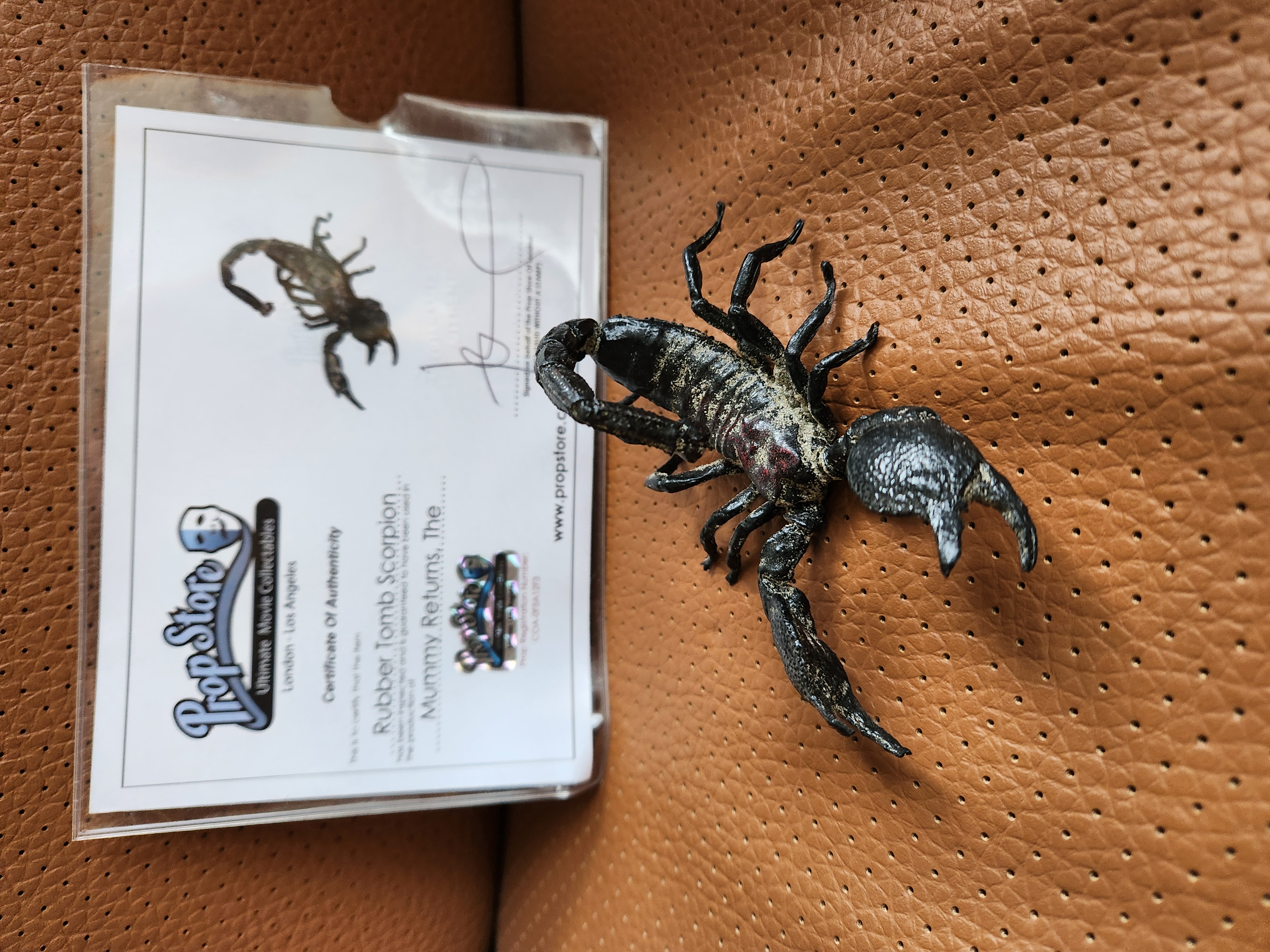 The Mummy Returns (2001) Original Screen Used Mummy Tomb Scorpion Movie Prop
