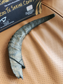 CBS ZOO TV Series (2015) Original Production Used Big Animal Horn Movie Prop