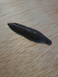 The Haunting of Bly Manor Original Screen Used Leech Movie Prop