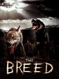 The Breed (2006) Original Production Used Wood Cabin Stool Movie Prop