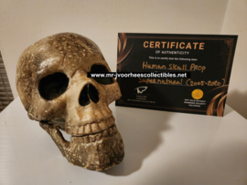 Supernatural (2005-2020) Original Screen Used Ritual Skull Movie Prop
