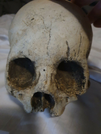 Cursed Netflix Original Screen Used Skulls and Bones Movie Prop
