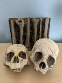 Cursed Netflix Series Original Screen Used Skulls and Bones Prop