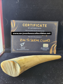 CBS ZOO TV Series (2015) Original Production Used Animal Horn Movie Prop