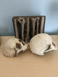 Cursed Netflix Series Original Screen Used Skulls and Bones Prop