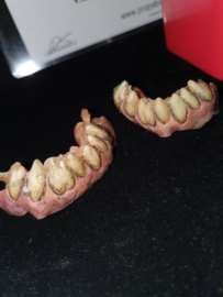 Van Helsing TV Show Original Screen Used Vampire Teeth MovieProp