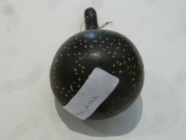 Prison Break Original Screen Used Gourd from Veronica Home Prop