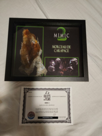 Mimic 2 Original Screen Used Piece of Alien Egg Movie Prop