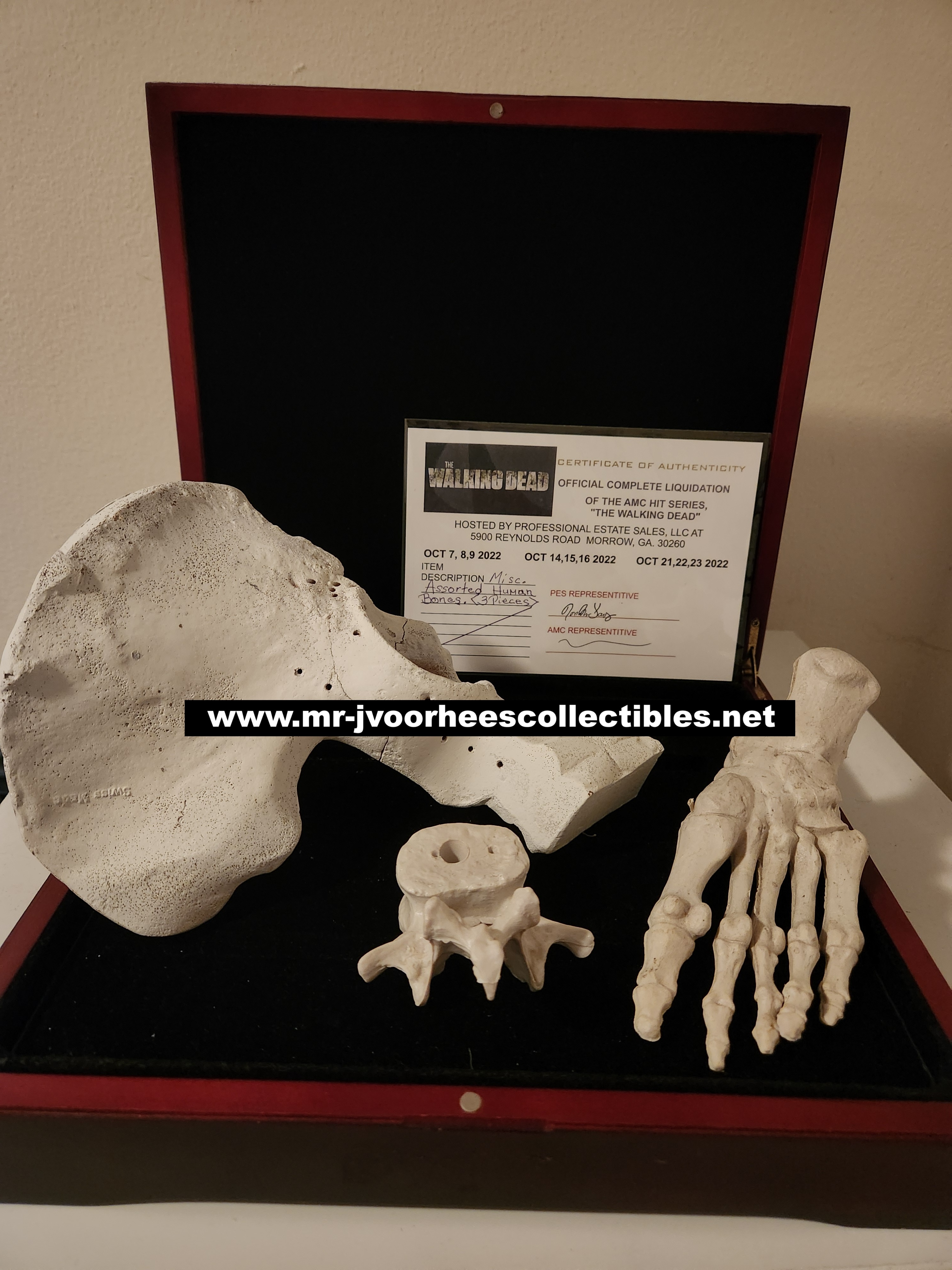 AMC The Walking Dead Original Production Used Human Grave Bones Set Movie Prop