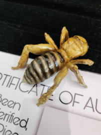 The Unborn 2009 Original Screen Used Bathroom Bug Insect Movie Prop