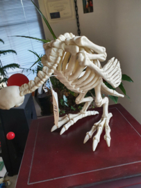 Hellfest Original Screen Used Dinosaur Bird Skeleton Figure Prop