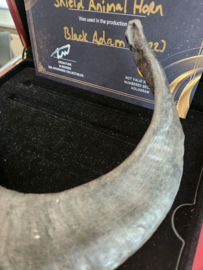 DC Universe Black Adam Original Screen Used Shield Horn Prop