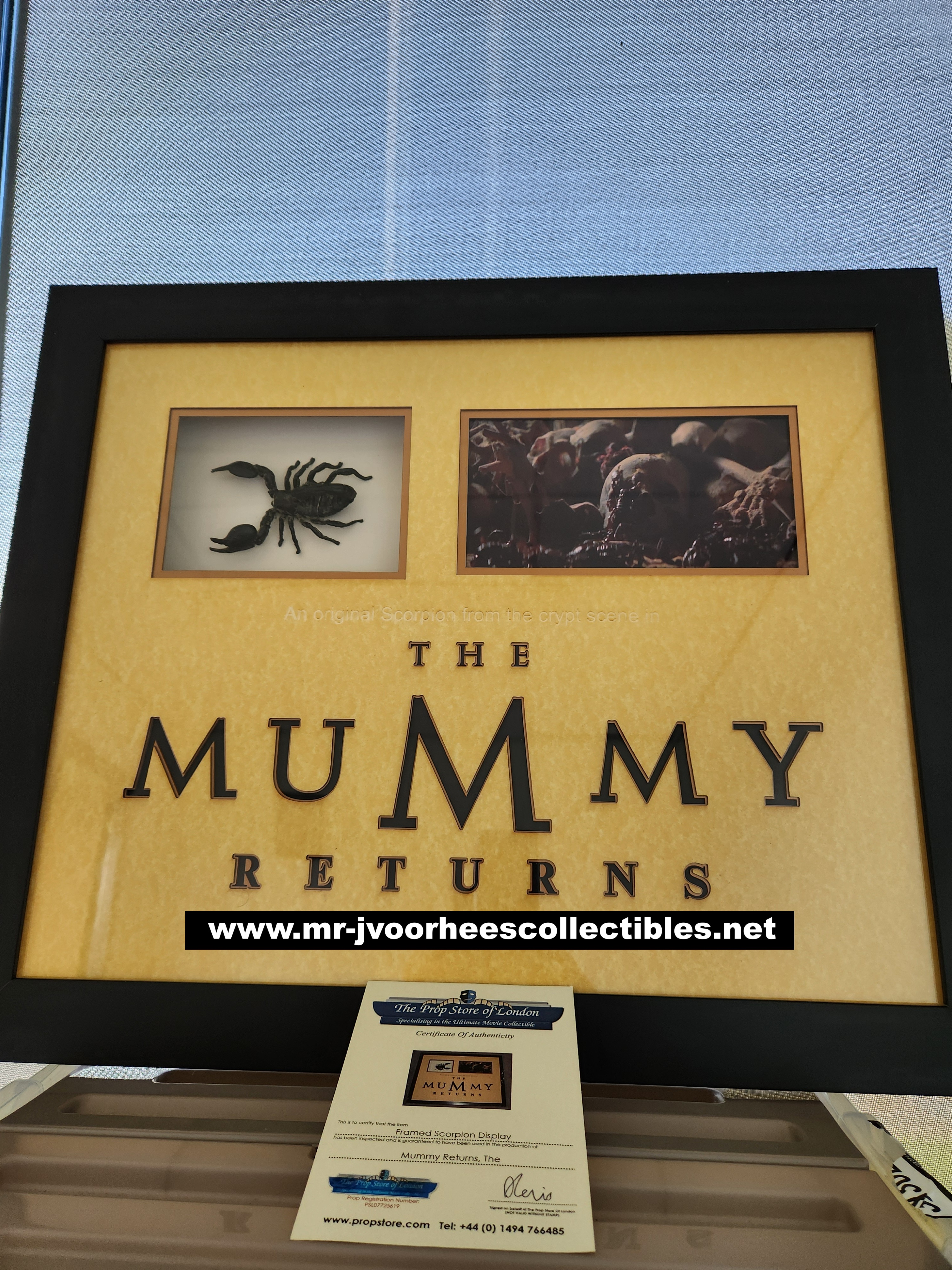 The Mummy Returns 2001 Original Screen Used Mummy Tomb Scorpion Frame Movie Prop