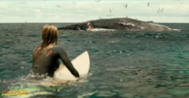 The Shallows 2016 Original Screen Used Piece of the Death Whale Movie Prop