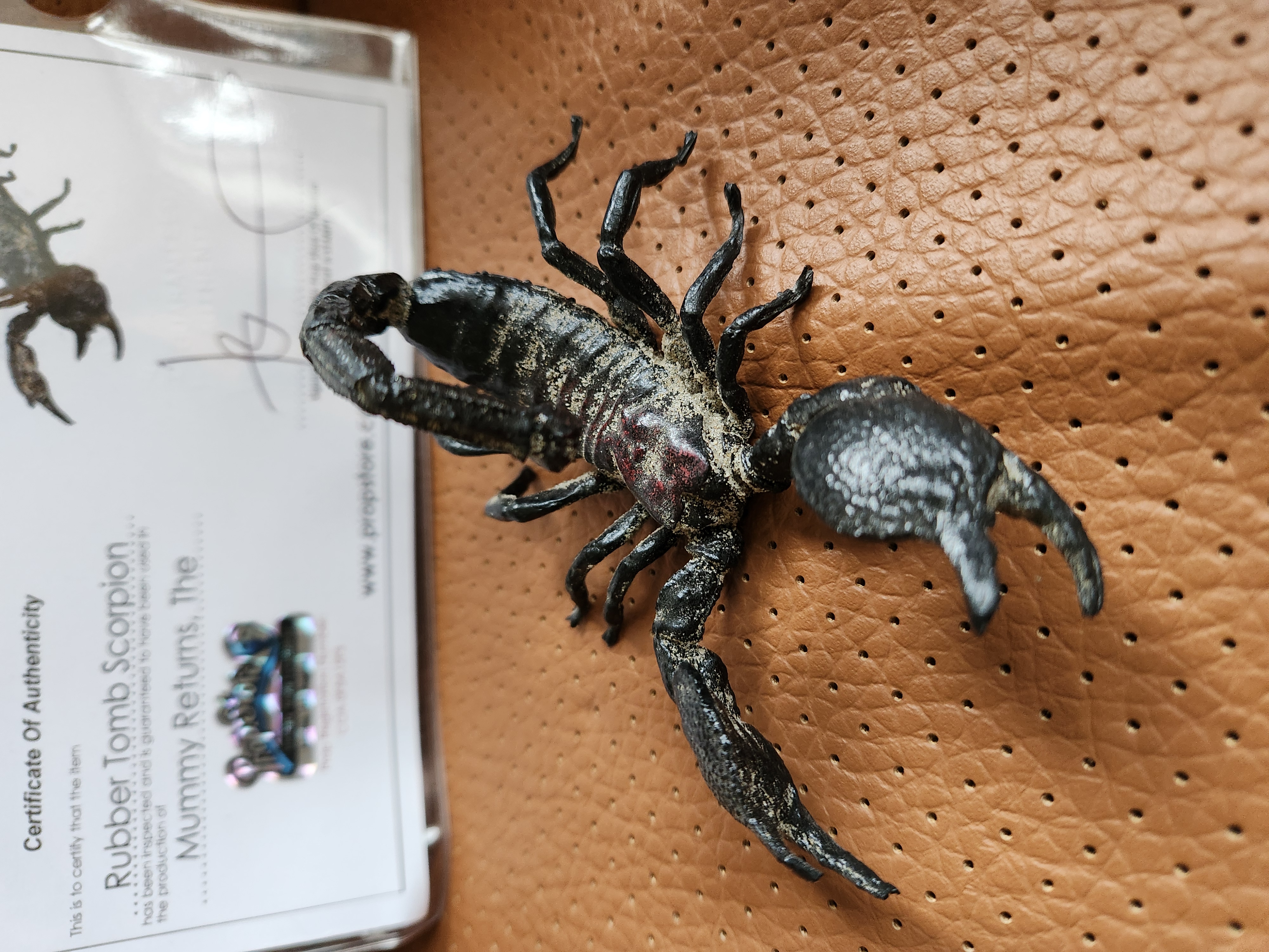 The Mummy Returns (2001) Original Screen Used Mummy Tomb Scorpion Movie Prop
