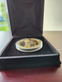 Walt Disney Scrooge McDuck First Euro Gold Plated Coin