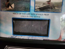 The Shallows 2016 Original Screen Used Piece of the Death Whale Movie Prop