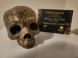 Supernatural (2005-2020) Original Screen Used Ritual Human Skull Movie Prop