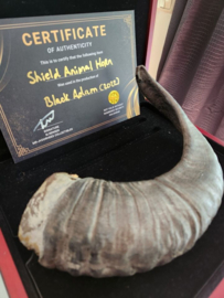 DC Universe Black Adam Original Screen Used Shield Horn Prop