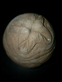 Alien vs Predator Original Production Used Alien Egg Movie Prop