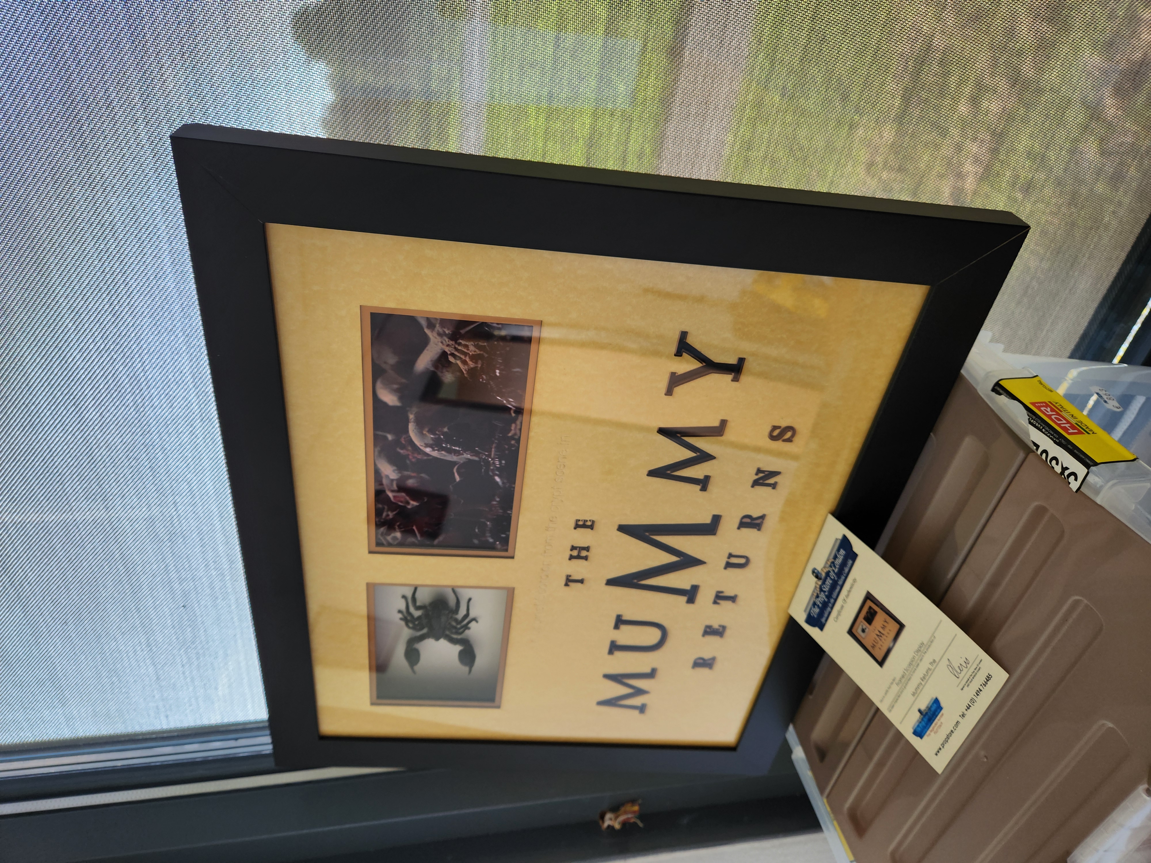 The Mummy Returns 2001 Original Screen Used Mummy Tomb Scorpion Frame Movie Prop