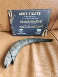 CBS ZOO TV Series (2015) Original Production Used Big Animal Horn Movie Prop
