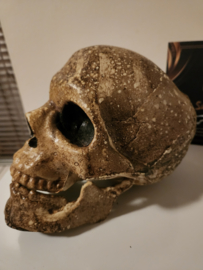 Supernatural (2005-2020) Original Screen Used Ritual Skull Movie Prop