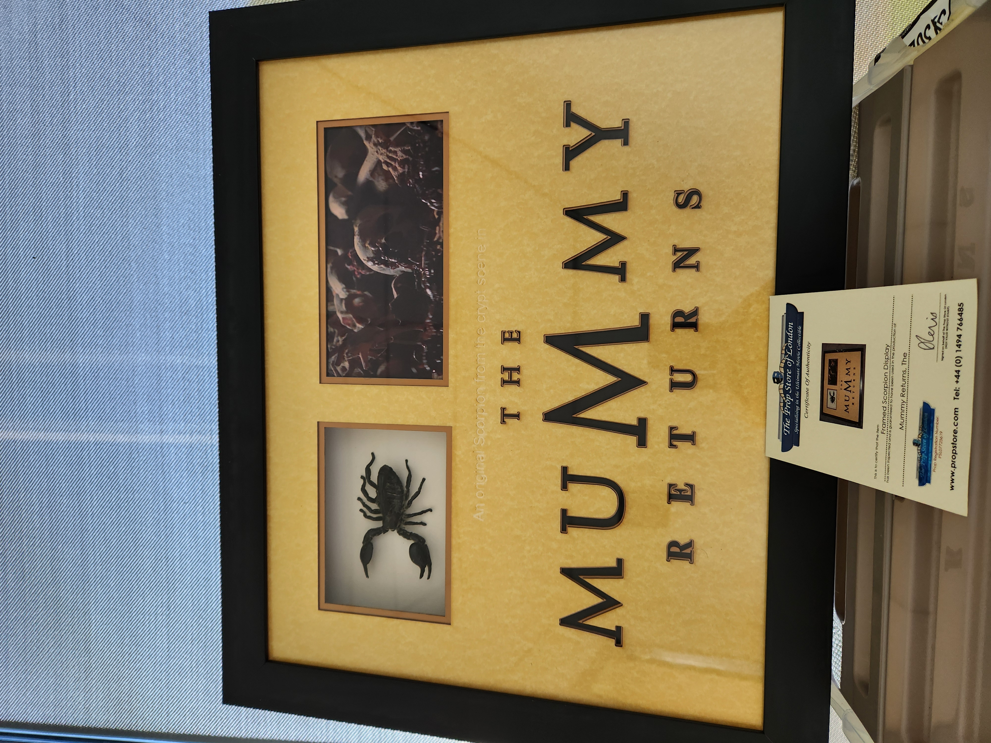 The Mummy Returns 2001 Original Screen Used Mummy Tomb Scorpion Frame Movie Prop