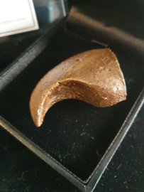 Beauty and the Beast Original Screen Used Beast Claw Movie Prop