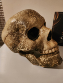 Supernatural (2005-2020) Original Screen Used Ritual Skull Movie Prop