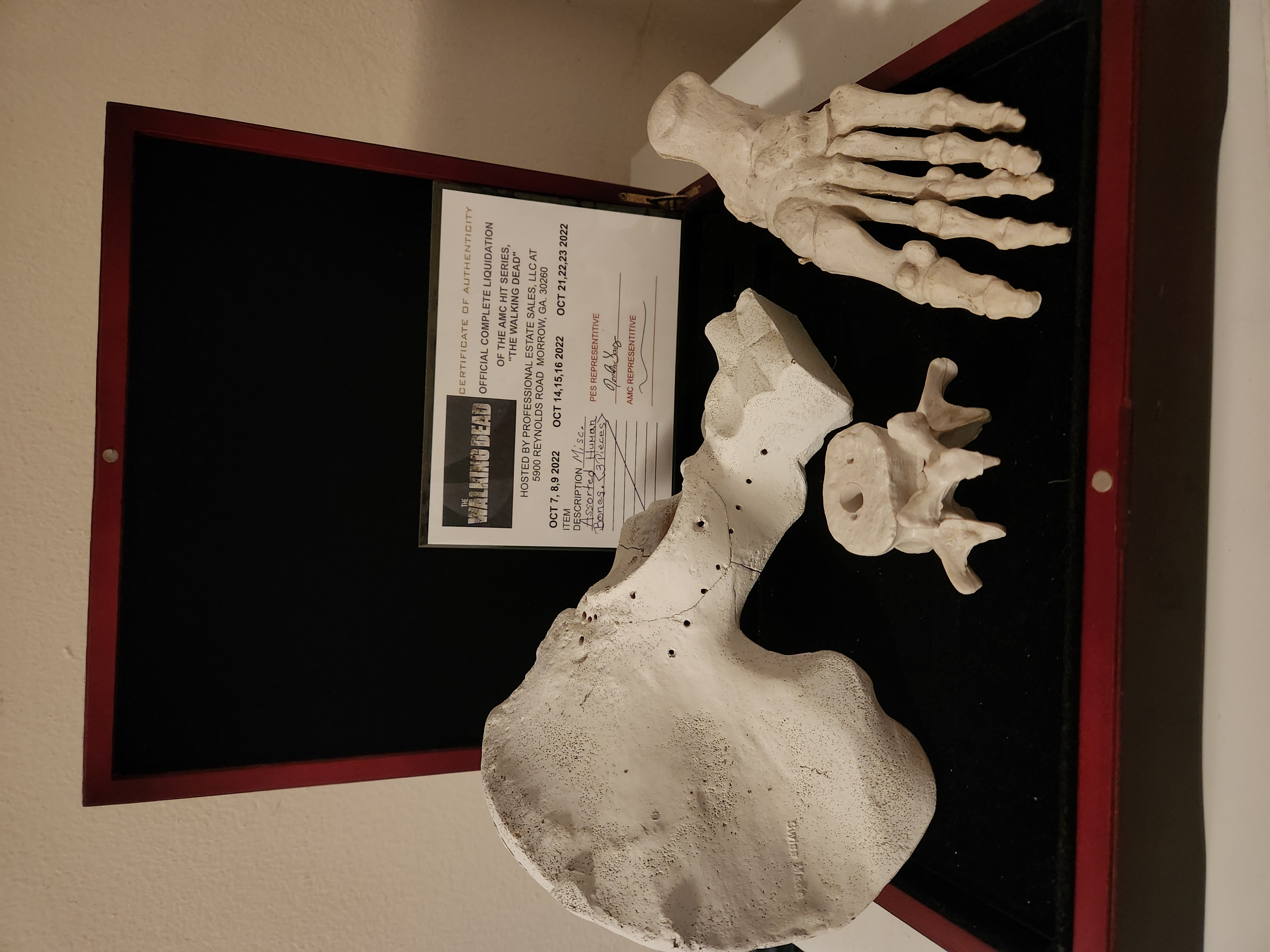 AMC The Walking Dead Original Production Used Human Grave Bones Set Movie Prop