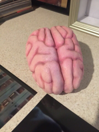 Scary Movie 2 Original Screen Used Shorty's Brain Movie Prop