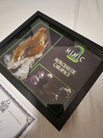 Mimic 2 Original Screen Used Piece of Alien Egg Movie Prop