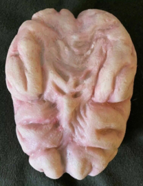 Scary Movie 2 Original Screen Used Shorty's Brain Movie Prop