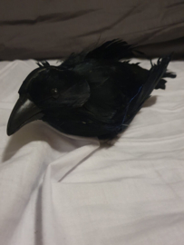 Sons of Anarchy Original Screen Used Gemma Dead Crow Movie Prop