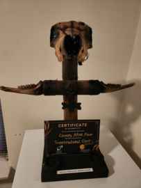 Supernatural (2005-2020) Original Production Used Creepy Altar Piece Movie Prop
