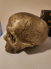 Supernatural (2005-2020) Original Screen Used Ritual Human Skull Movie Prop
