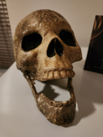 Supernatural (2005-2020) Original Screen Used Ritual Skull Movie Prop