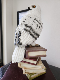 Harry Potter Hedwig Big Figurine Statue